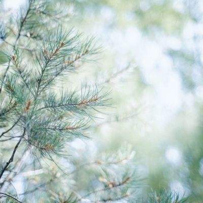 火狐体育APP体育